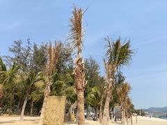 -玫瑰海岸文化旅游度假区