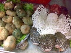 青头菌、竹荪-野菌园·野生菌火锅首创第一家(关兴路总店)