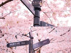-上海外滩雅致酒店