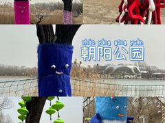 -朝阳公园游乐园