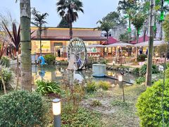 -麻小度青花椒鱼(安德总店)