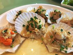 蒜蓉粉丝蒸扇贝-骏莱海鲜鱼港(五角场店)