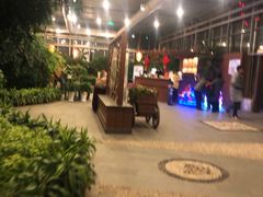 -南宫温泉水世界