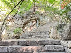 -佛慧山