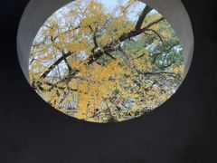-无锡惠山寺