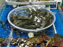 -王四营海鲜市场