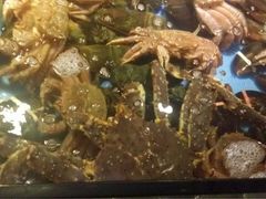 -蟹之国·精品蟹料理(极地店)