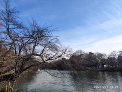 -三鹰之森吉卜力美术馆