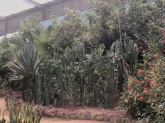 -呀路古热带植物园