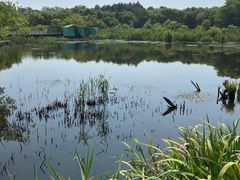 -西湖风景区-江洋畈生态公园