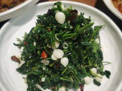 -蓝田印象