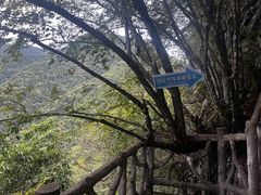 -千岛湖石林