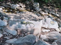 -黑龙潭风景区
