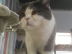 -小时光咖啡馆(开森度假森林店)