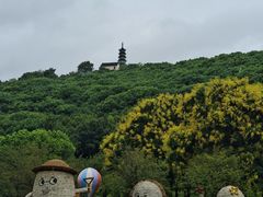 -苏州上方山国家森林公园