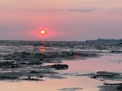 -北海金海湾红树林生态旅游区