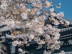 -灌篮高手动画打卡地