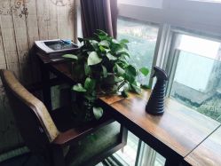-山浦形象烫染