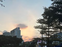 -海珠湖公园