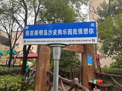 -上海崇明金茂凯悦酒店