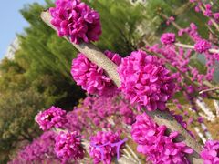 -白塘生态植物园