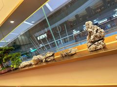 -七条鱼日本料理(远洋乐堤港店)