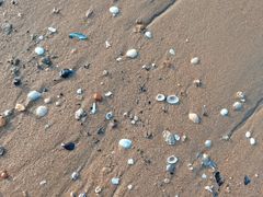 -秦皇岛秦皇国际大酒店