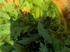 -老员外骨汤火锅(海州古城店)