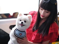 -帕帕拉兹宠物(亚洲旗舰店)