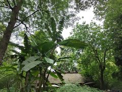 -成都杜甫草堂博物馆