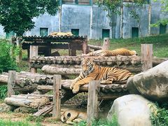 -泉州海丝野生动物世界