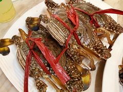 -牛排王糟粕醋火锅(海甸分店)