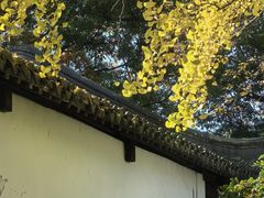 -上海醉白池公园