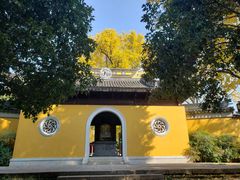 -苏州上方山国家森林公园