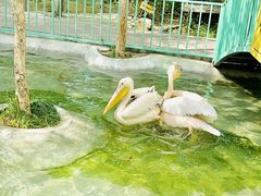 -水上乐园·欢乐世界
