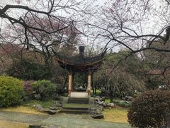 -杭州植物园