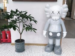 -宝贝家族国际影像馆(东郊记忆店)