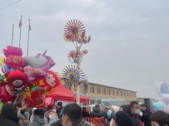 -蒲河大集