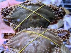 -聚盛源蒸汽海鲜火锅烤肉自助(巨川金海岸购物广场店)