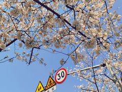 -永乐路-路侧停车场