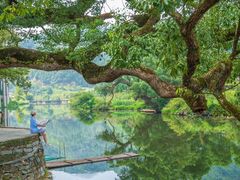 -婺源风景区
