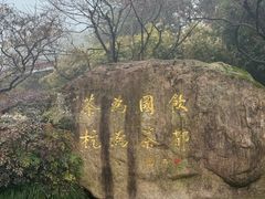 -中国茶叶博物馆(双峰馆区)