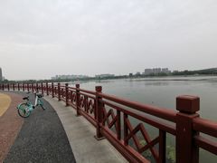 -灞河西岸滨河公园