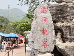 -大岭沟猕猴桃谷风景区