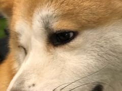 -YCHL Studios健身工作室(市二宫店)