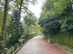 -敬亭山风景名胜区