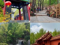 -沂蒙山旅游区云蒙景区(蒙山国家森林公园)