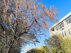 -辽宁大学(崇山校区)