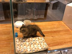 -狗道宠物(常熟印象城店)