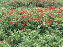 -中国矿业大学（南湖校区）-图书馆